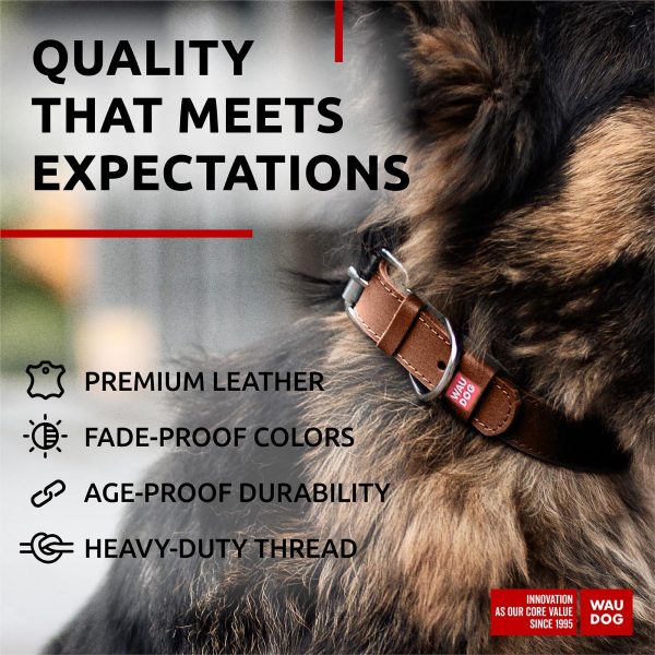 WAUDOG Long Lasting Leather Dog Collar for Large Dogs Medium & Small Dogs   Adjustable Classic Puppy Collars for Large Breed Dogs   Boy & Girl Dog Collars with Durable Buckle D Ring & QR Dog Tag - Image 3