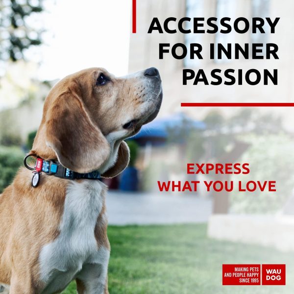 Nylon Dog Collar   Adjustable Dog Collar for Large Dogs Small & Medium Dogs   Breakaway Puppy Collars for Large Breed Dogs   Boy & Girl Dog Collars with Durable Plastic Buckle and QR Dog Tag - Image 2