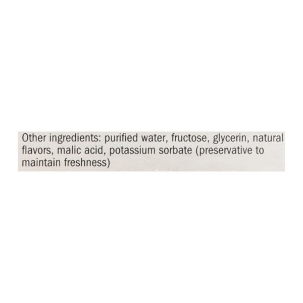 Nature's Way - Sambucus Adult Syrup - 1 Each-4 FZ