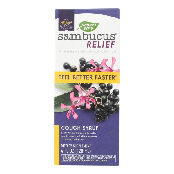 Nature's Way - Sambucus Adult Syrup - 1 Each-4 FZ - Image 2