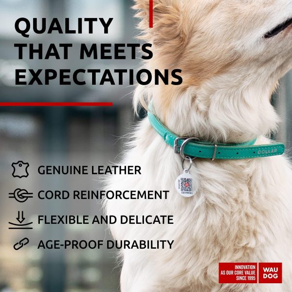 Ultra Soft Rolled Leather Dog Collar for Small Dogs   Soft Padded Dog Collars for Medium Dogs   Puppy Collars for Large Breed Dogs   Male and Female Dog Collar - Image 4