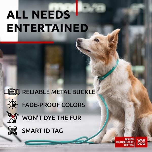 Ultra Soft Rolled Leather Dog Collar for Small Dogs   Soft Padded Dog Collars for Medium Dogs   Puppy Collars for Large Breed Dogs   Male and Female Dog Collar - Image 5