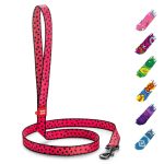 Nylon Dog Leash for Small Dogs and Medium Dogs 4 Ft   Strong Dog Leash for Large Dogs   Heavy Duty Dog Leashes for Large Breed Dogs & Puppy Leash for Small Boy & Girl Dogs