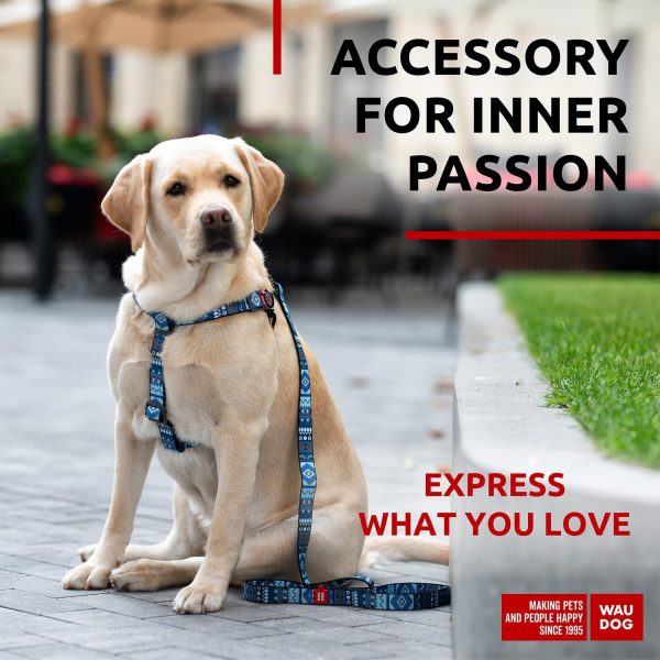 Nylon Dog Leash for Small Dogs and Medium Dogs 4 Ft   Strong Dog Leash for Large Dogs   Heavy Duty Dog Leashes for Large Breed Dogs & Puppy Leash for Small Boy & Girl Dogs - Image 2