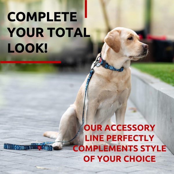 Nylon Dog Leash for Small Dogs and Medium Dogs 4 Ft   Strong Dog Leash for Large Dogs   Heavy Duty Dog Leashes for Large Breed Dogs & Puppy Leash for Small Boy & Girl Dogs - Image 6