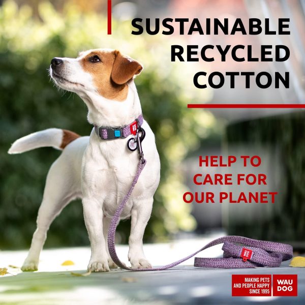 Recycled Cotton Dog Leash 6 Ft   10 Ft Eco Friendly Collar for Small Medium & Large Dogs   Reflective Dog Leash for Medium Dogs   Strong Leashes for Large Breed Dogs Puppy Leash for Small Dogs - Image 2