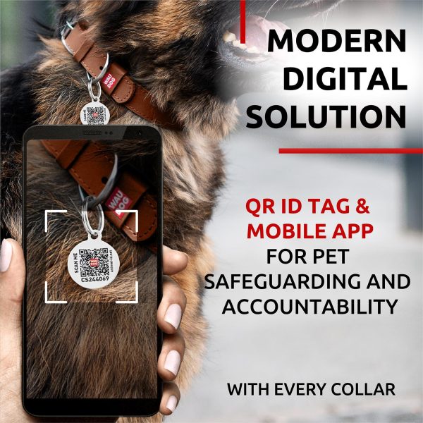 WAUDOG Long Lasting Leather Dog Collar for Large Dogs Medium & Small Dogs   Adjustable Classic Puppy Collars for Large Breed Dogs   Boy & Girl Dog Collars with Durable Buckle D Ring & QR Dog Tag - Image 5