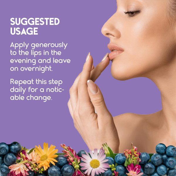 Lip Sleeping Mask with Hyaluronic Acid & Vitamin C   Nourish & Hydrate Dry Lips with Lip Balm   Overnight Lip Mask Moisturizer for Skin Care   Berry - Image 4