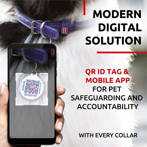 Ultra Soft Rolled Leather Dog Collar for Small Dogs   Soft Padded Dog Collars for Medium Dogs   Puppy Collars for Large Breed Dogs   Male and Female Dog Collar - Image 3