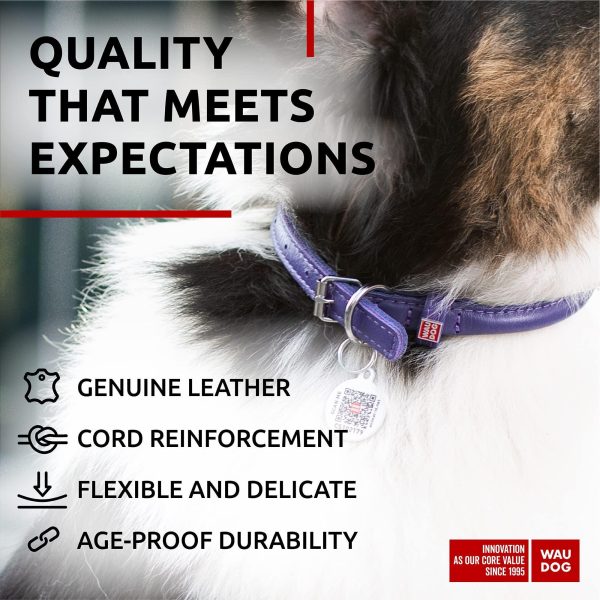 Ultra Soft Rolled Leather Dog Collar for Small Dogs   Soft Padded Dog Collars for Medium Dogs   Puppy Collars for Large Breed Dogs   Male and Female Dog Collar - Image 4