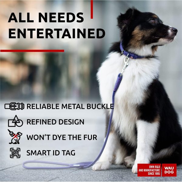 Ultra Soft Rolled Leather Dog Collar for Small Dogs   Soft Padded Dog Collars for Medium Dogs   Puppy Collars for Large Breed Dogs   Male and Female Dog Collar - Image 5