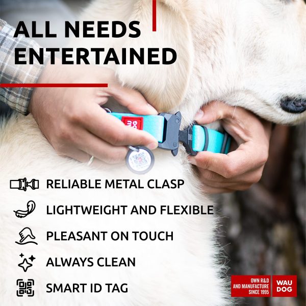 Waterproof Dog Collar   Adjustable Dog Collar for Large Dogs Small and Medium Dogs   Dog Collar Waterproof with Metal Buckle and QR Dog Tag   Boy & Girl Dog Collars (Glow) Air Tag - Image 5