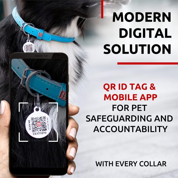 Ultra Soft Rolled Leather Dog Collar for Small Dogs   Soft Padded Dog Collars for Medium Dogs   Puppy Collars for Large Breed Dogs   Male and Female Dog Collar - Image 2