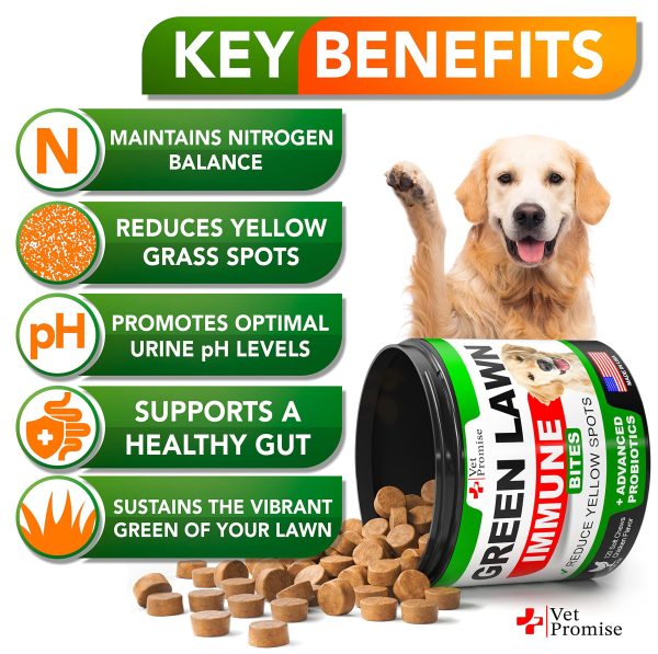 Grass Burn Spot Chews for Dogs   Dog Urine Neutralizer for Lawn   120 Grass Green Dog Chews   Grass Savers for Dog Urine   Dog Pee Grass Neutralizer with Probiotics   Digestive Enzymes   Made in USA - Image 3