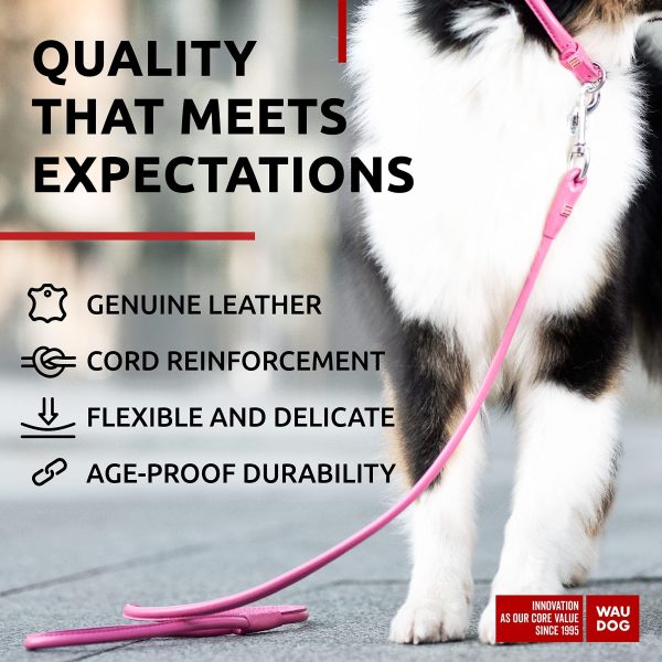 Rolled Leather Dog Leash 4Ft * 0.5 in for Small Medium and Large Dogs   Heavy Duty Leather Puppy Leash for Outdoor Walking Running Training   Strong Dog Leashes for Large Breed Dogs (Pink) - Image 3