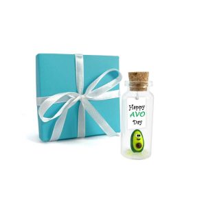 Tiny Magical Message in a Bottle Gift Idea Classy Inspirational Gifts for Him and Her Unique Presents for Women and Men (Green Avocado Happy Avo Day in Teal Gift Box)