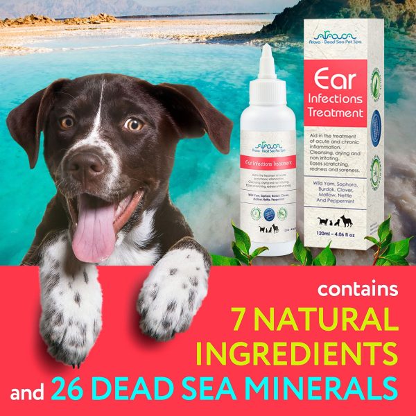 Arava Dog Ear Infection Treatment   First Aid in Acute & Chronic Inflammations   Anti Itch Effective Ear Cleaner   Pet Otic Ear Care Solution - Image 7