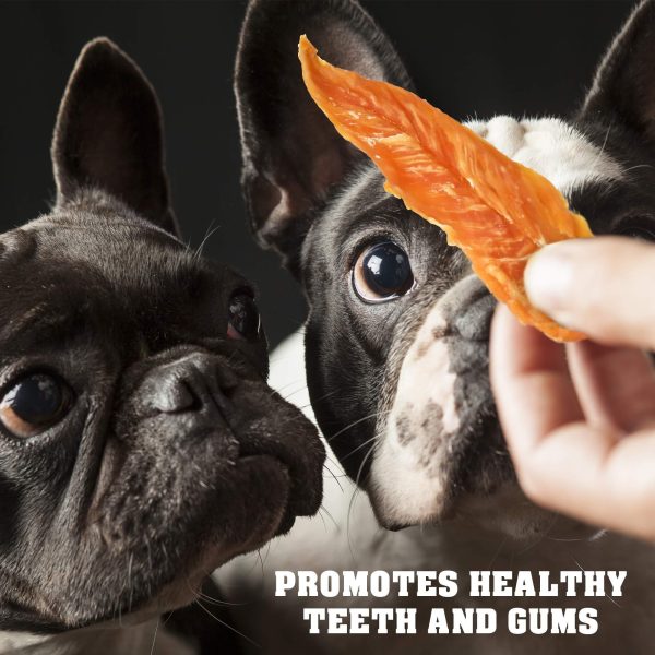 Chicken Jerky Dog Treats 1.5 Lb   Human Grade Pet Snacks & Grain Free Organic Meat   All Natural High Protein Dried Strips   Best Chews for Training Small & Large Dogs   Bulk Soft Pack Made for USA - Image 4