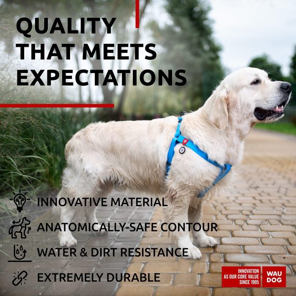 Waterproof Dog Harness   Adjustable Dog Harness for Large Dogs Small and Medium Dogs   Heavy Duty Dog Harness with Durable Metal Clasp and QR Dog Tag   Boy & Girl Dog Harness   Blue (24 35in) - Image 4