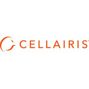 Cellairis Rapture Rugged Carrying Case Samsung Galaxy Tab S9, Galaxy Tab S9 FE Tablet
