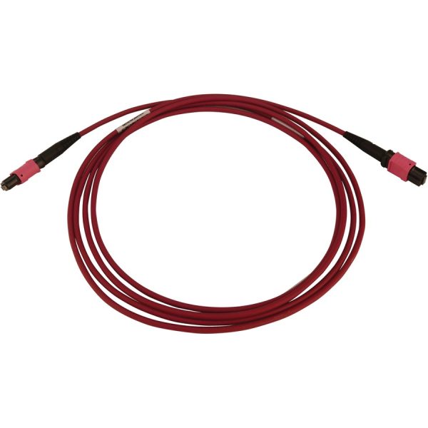Eaton Tripp Lite Series 100G Multimode 50/125 OM4 Fiber Optic Cable (12F MTP/MPO-PC F/F), LSZH, Magenta, 5 m (16.4 ft.) - Image 2