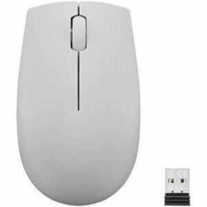 300 Wrls Cmpct Mouse AGry