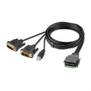 Modular DVI Dual Head Host Cbl