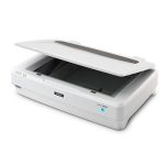 Expression 1300XL Scanner