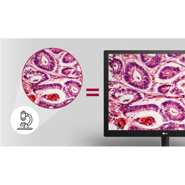 LG 31HN713D-B 31" Class LCD Monitor - 3:2 - Image 4