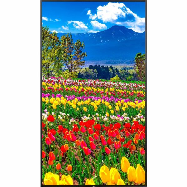 Sharp NEC Display 75" Ultra High Definition Professional Display - Image 3