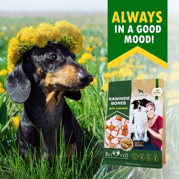 Dog Rawhide Sticks Wrapped with Chicken & Pet Natural Chew Treats   Grain Free Organic Meat & Human Grade Dried Snacks in Bulk   Best Twists for Training Small & Large Dogs   Made for USA (Bones) - Image 7