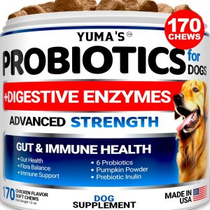 Probiotics for Dogs and Digestive Enzymes   170 Dog Probiotics Chews   Pet Fiber Supplement   Anti Diarrhea Upset Stomach & Gas Relief Constipation Canine Prebiotic   Gut Health Treats   USA Made