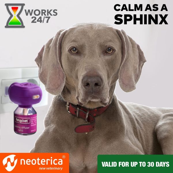 Calming Diffuser Kit for Dogs & Puppy   Pet Separation Anxiety Relief & Calm Pheromones Plug   Anti Stress Treatment Help with Fireworks Aggression Fighting & Other Problematic Behaviors - Image 4
