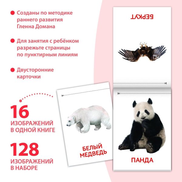 Doman Method Flashcards Set   Discover The World | 8 Piece Russian Language Educational Book Kit for Early Development | Изучаем с малышами - Image 8