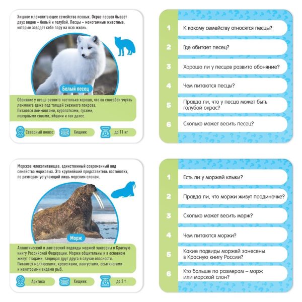 Animal Facts Quiz Game for Kids 5  – 50 Cards and Dice Russian Language Instructions Develops Observation Memory Logic Coordination – Настольная Игра Факты о Животных - Image 4