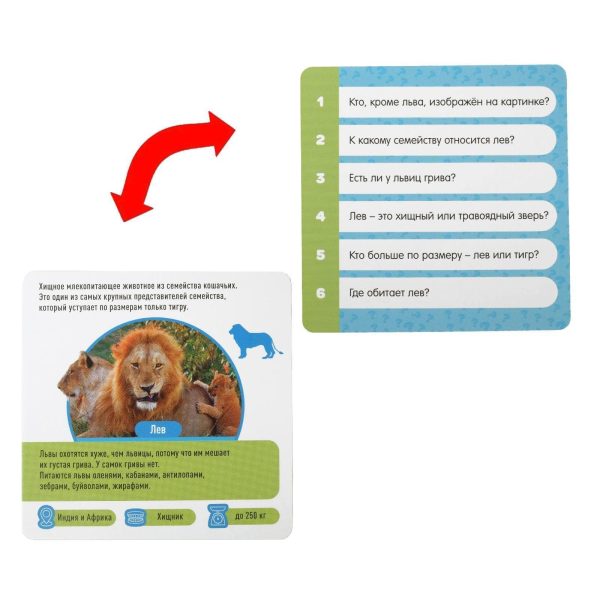 Animal Facts Quiz Game for Kids 5  – 50 Cards and Dice Russian Language Instructions Develops Observation Memory Logic Coordination – Настольная Игра Факты о Животных - Image 5
