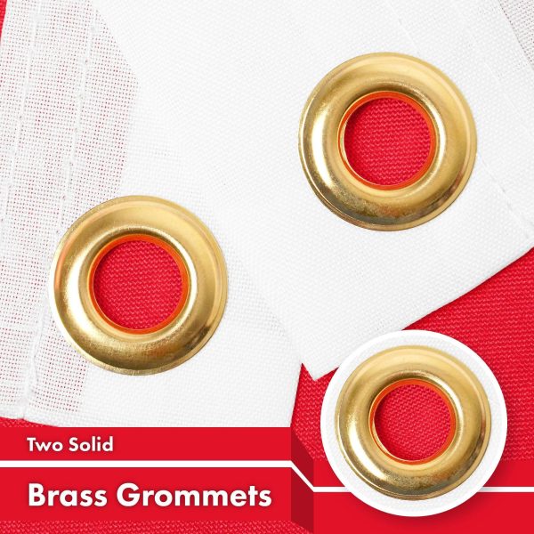 G128 5 Pack: Singapore Singaporean Flag | 3x5 Ft | LiteWeave Pro Series Printed 150D Polyester | Country Flag, Vibrant Colors, Brass Grommets, Thicker and More Durable Than 100D 75D Polyester - Image 2