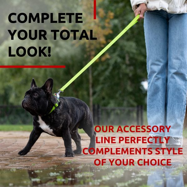 Waterproof Dog Leash 4 Ft   6 Ft   Anti Slip Dog Leash for Large Dogs Small and Medium Dogs   Heavy Duty Dog Leash with Water and Dirt Resistant   Long Or Short Dog Leashes for Boy & Girl Dogs - Image 6