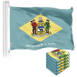 G128 5 Pack: Delaware DE State Flag | 3x5 Ft | LiteWeave Pro Series Printed 150D Polyester | Indoor/Outdoor, Vibrant Colors, Brass Grommets, Thicker and More Durable Than 100D 75D Polyester