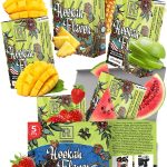 Pleasure Hookah Flavors Set   5 x 50g non tobacco hookah flavor for your Hookah Bowl (Sweet watermelon   Double apple   Mango   Pineapple   Strawberry) Hookah Bundle Pack of 5   Try these Tobacco Free Shisha