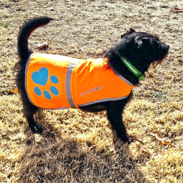 Reflective Dog Vest. Hi Visibility Fluorescent Blaze Orange Dog Vest Helps Protect Your Best Friend. Safeguard Your PUP from Motorists & Hunting Accidents On or Off Leash. (Small) - Image 6