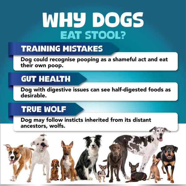 No Poo Chews for Dogs – Stop Poop Eating Behavior – Probiotics and Digestive Enzymes for Dogs – Bad Breath Support for All Breeds – Digestive and Gut Health Supplement – 180 Soft Chews - Image 3