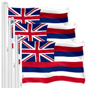 Hawaii HI State Flag 3x5 Ft 3-Pack 150D Printed Polyester By G128