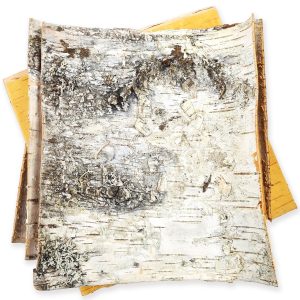 White Birch Bark 4 Sheets 12  x 12  DIY Crafts Natural Birch Tree Bark Slices to Make Your Own Wood Coasters Decorative Candle Holder Birch Candles Birch Planter