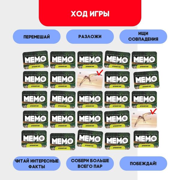 Dinosaurs Memo Card Game for Kids 3 and Up   Memory Matching Russian Flash Cards Board Game with Theme Dinos 25 Pairs   Memorize and Match Puzzles Toy - Image 6