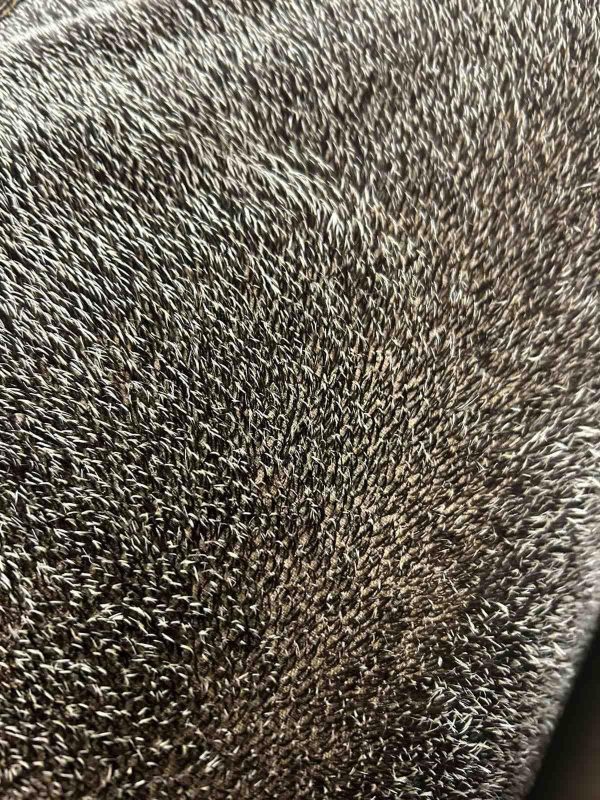 German Made Hedgehog Realistic Mohair Fabric   Premium Quality Article 20121Felting Hedgehog Creation (25 * 17.5cm)…