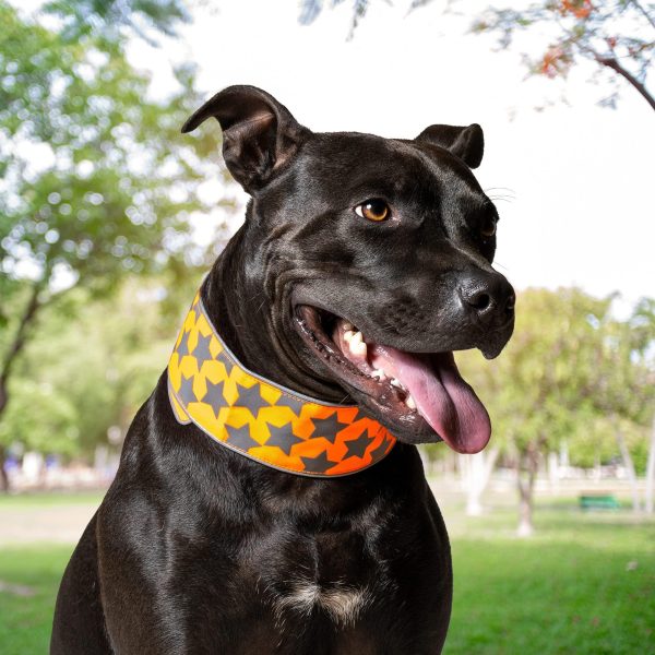 Reflective Dog Collar. Fluorescent Blaze Orange with Adjustable Fastener for Small Medium & Large Pets. High Visibility Dog Products to Safeguard Your PUP from Motorists & Hunters. - Image 6