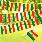 G128 Bolivia Bolivian Bunting Banner | Flag 8.2 x 5.5 Inch, Full String 33 Feet | Printed 150D Polyester, Decorations For Bar, School, Festival Events Celebration