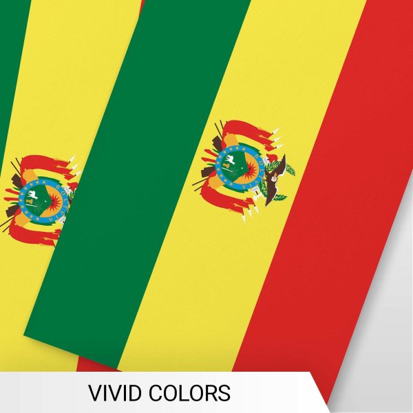 G128 Bolivia Bolivian Bunting Banner | Flag 8.2 x 5.5 Inch, Full String 33 Feet | Printed 150D Polyester, Decorations For Bar, School, Festival Events Celebration - Image 6