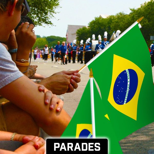G128 12 Pack Handheld Brazil Brazilian Stick Flags | 12x18 In | Printed 150D Polyester, Country Flag, Solid Wooden Stick, Spear Gold Tip - Image 5